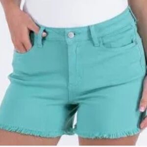 Judy Blue Aqua Jean Shorts
